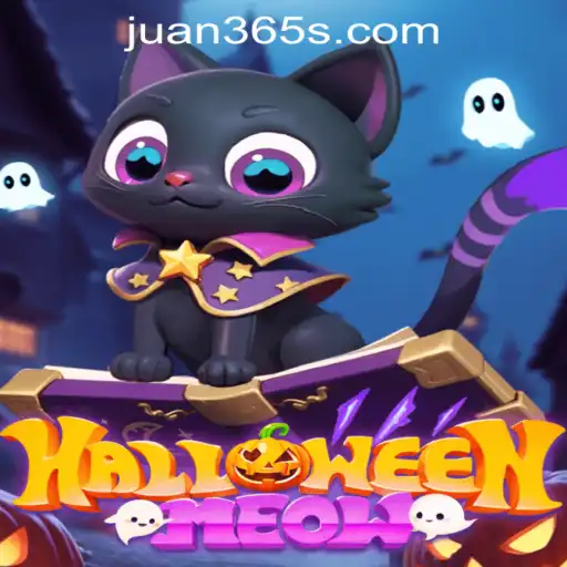 HalloweenMeow: The Ultimate Feline-Themed Spooky Adventure